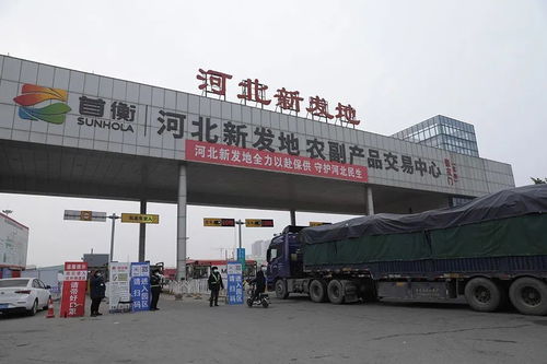 三件大事齐头并进，唐山软件开发迸发新动能